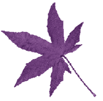 Moses Consulting header image